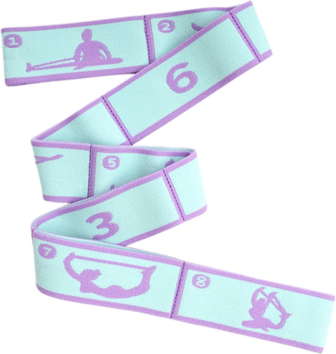 Loop Resistance Stretch Band