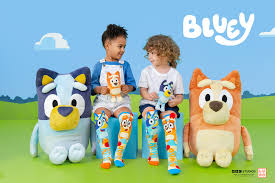 Bluey Socks